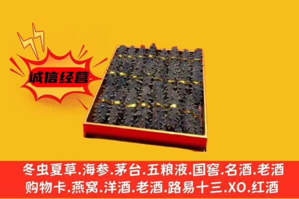 商河县回收海参